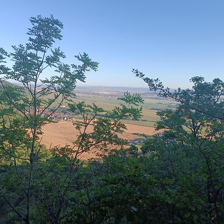 Ferienhaus Waldperle Harzblick Wernrode 外观 照片