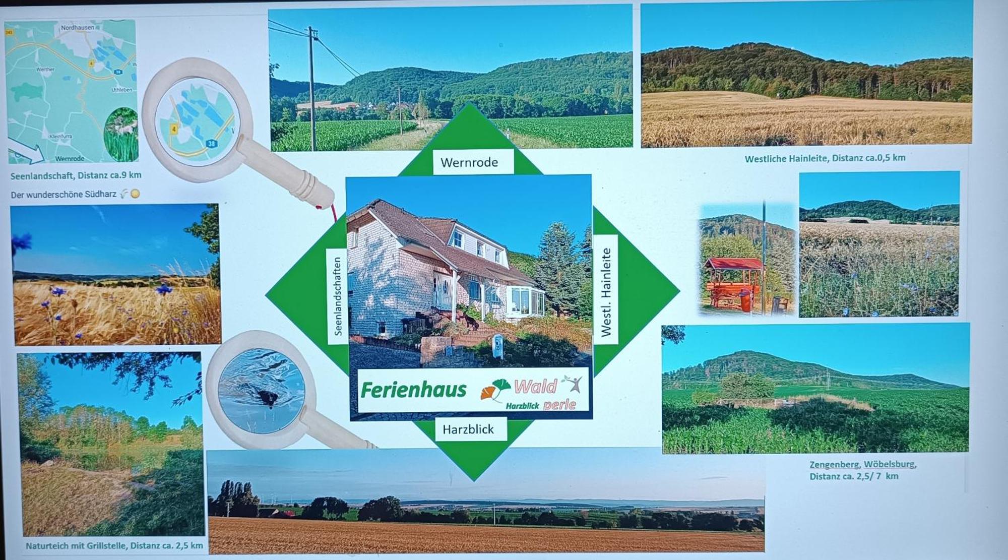 Ferienhaus Waldperle Harzblick Wernrode 外观 照片