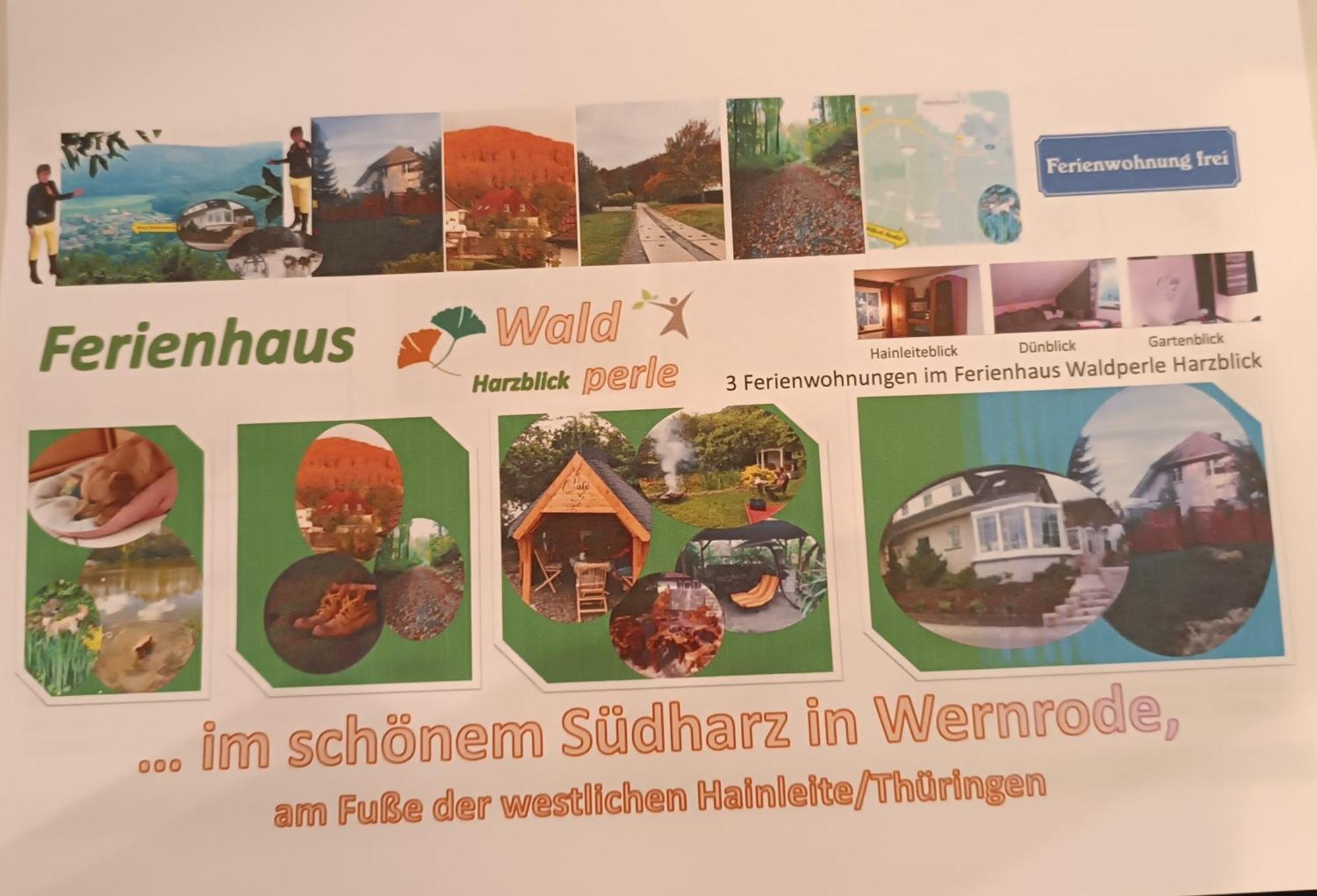 Ferienhaus Waldperle Harzblick Wernrode 外观 照片