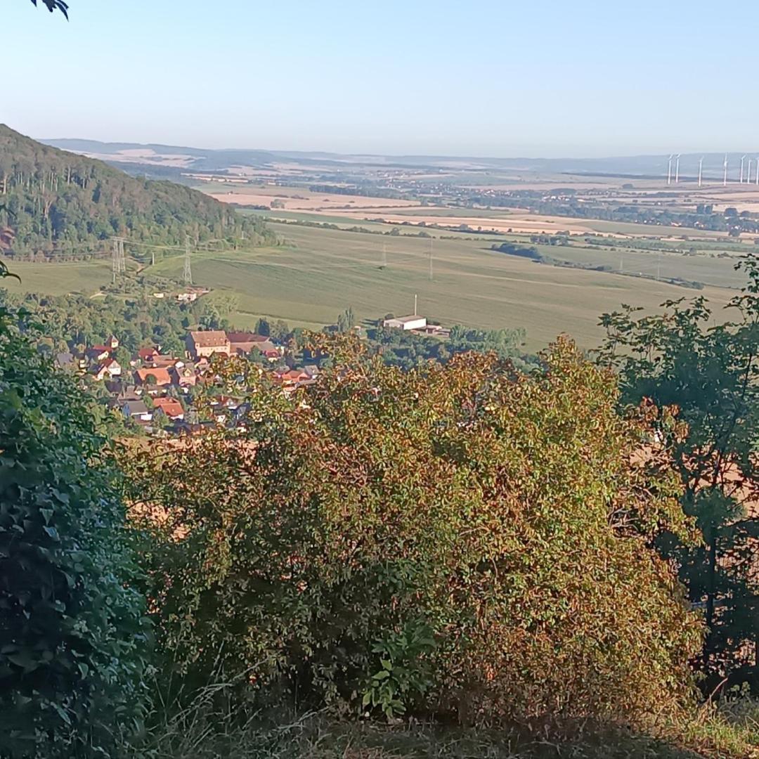 Ferienhaus Waldperle Harzblick Wernrode 外观 照片